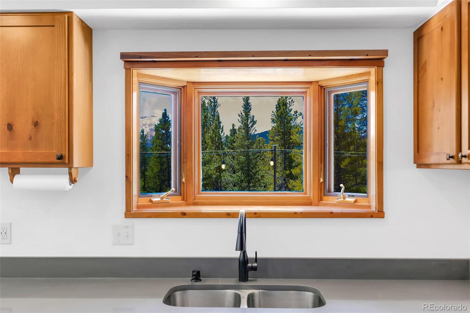MLS Image #18 for 375  gold trail,fairplay, Colorado