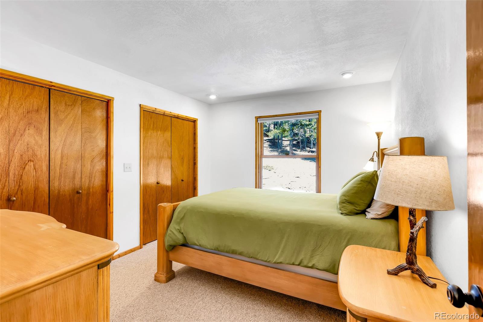 MLS Image #22 for 375  gold trail,fairplay, Colorado