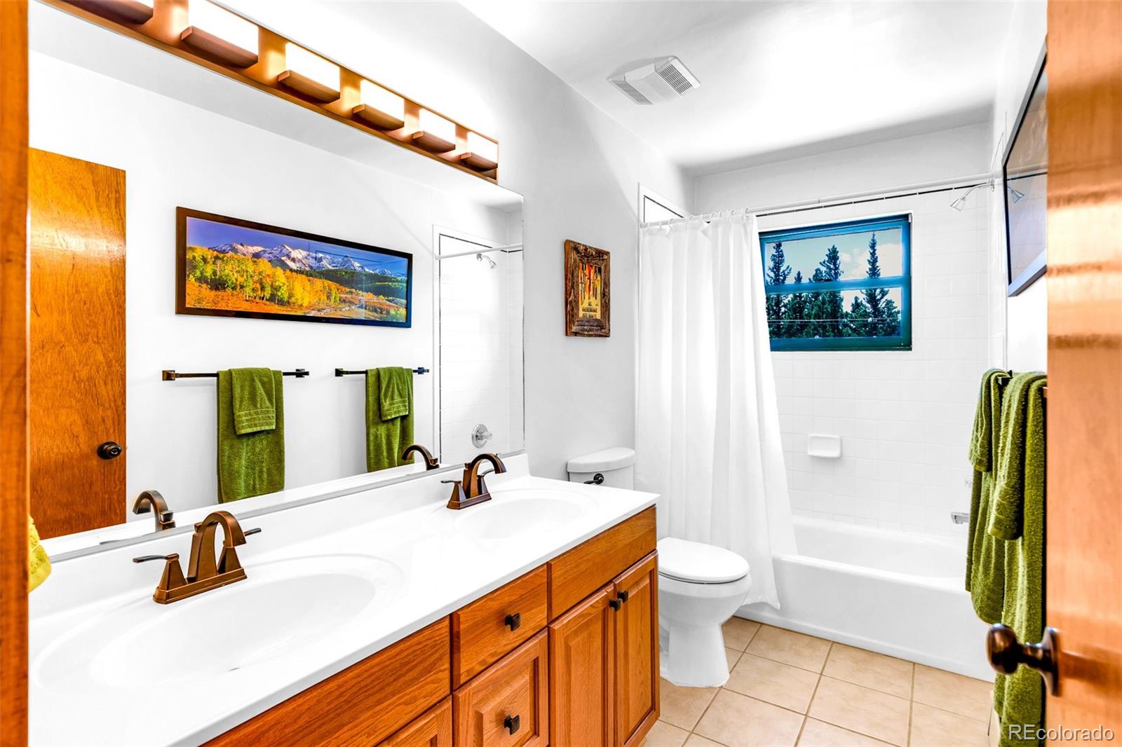 MLS Image #25 for 375  gold trail,fairplay, Colorado
