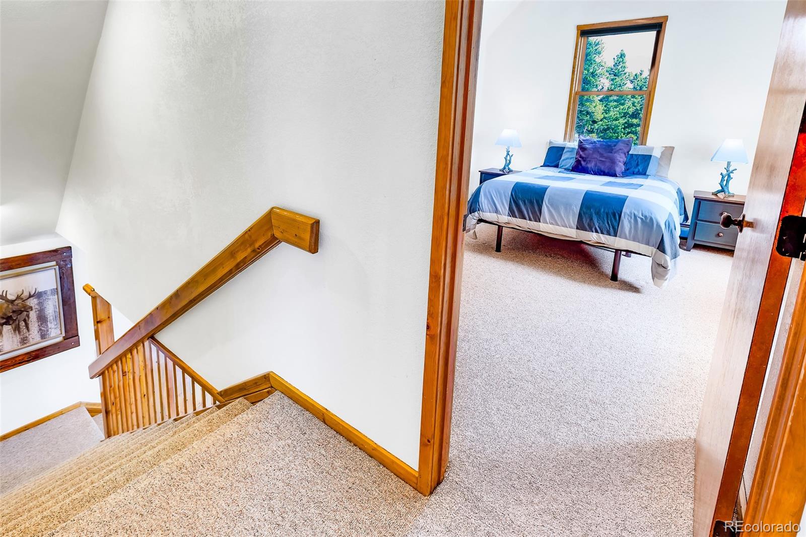 MLS Image #29 for 375  gold trail,fairplay, Colorado