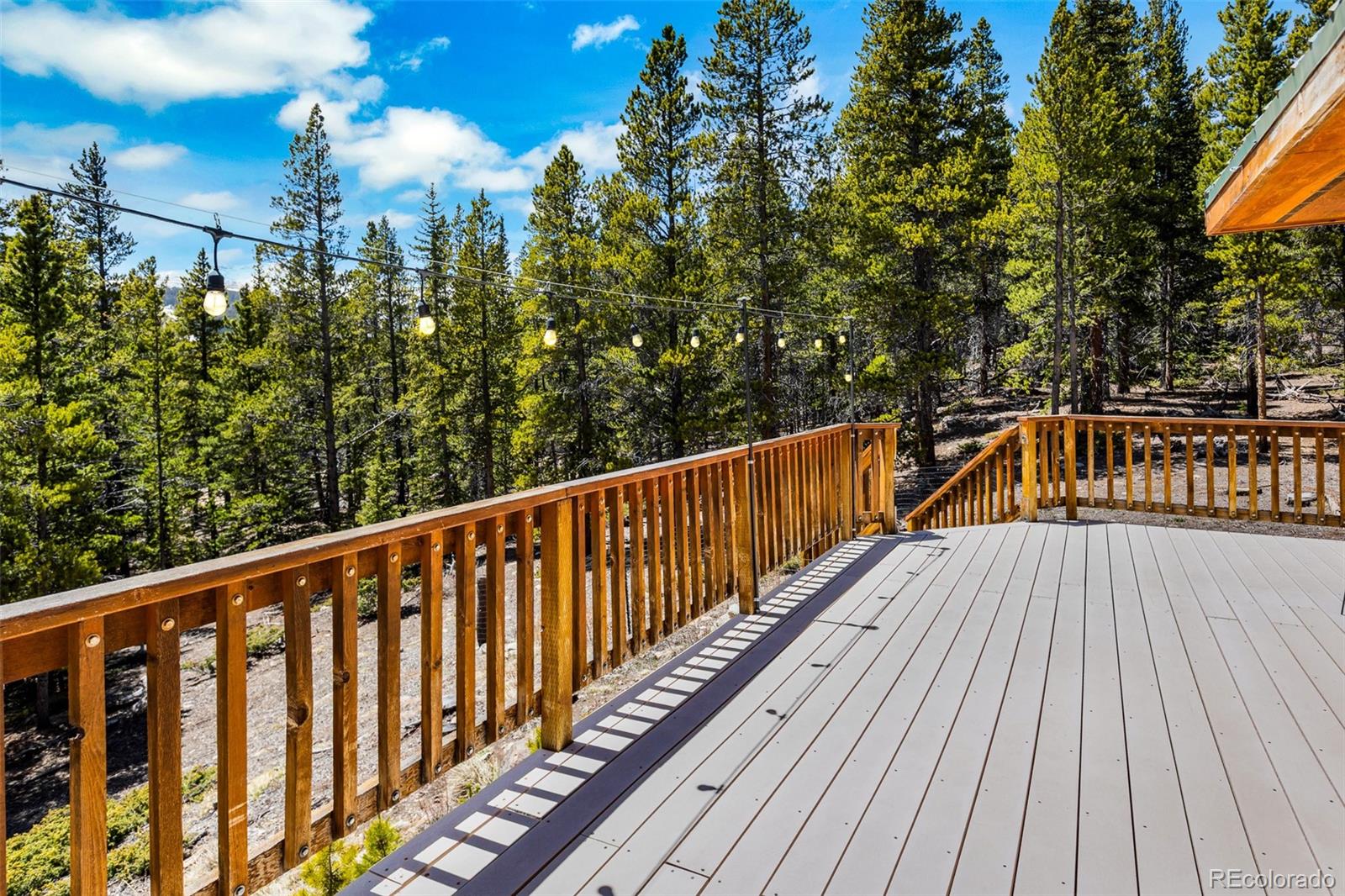 MLS Image #46 for 375  gold trail,fairplay, Colorado