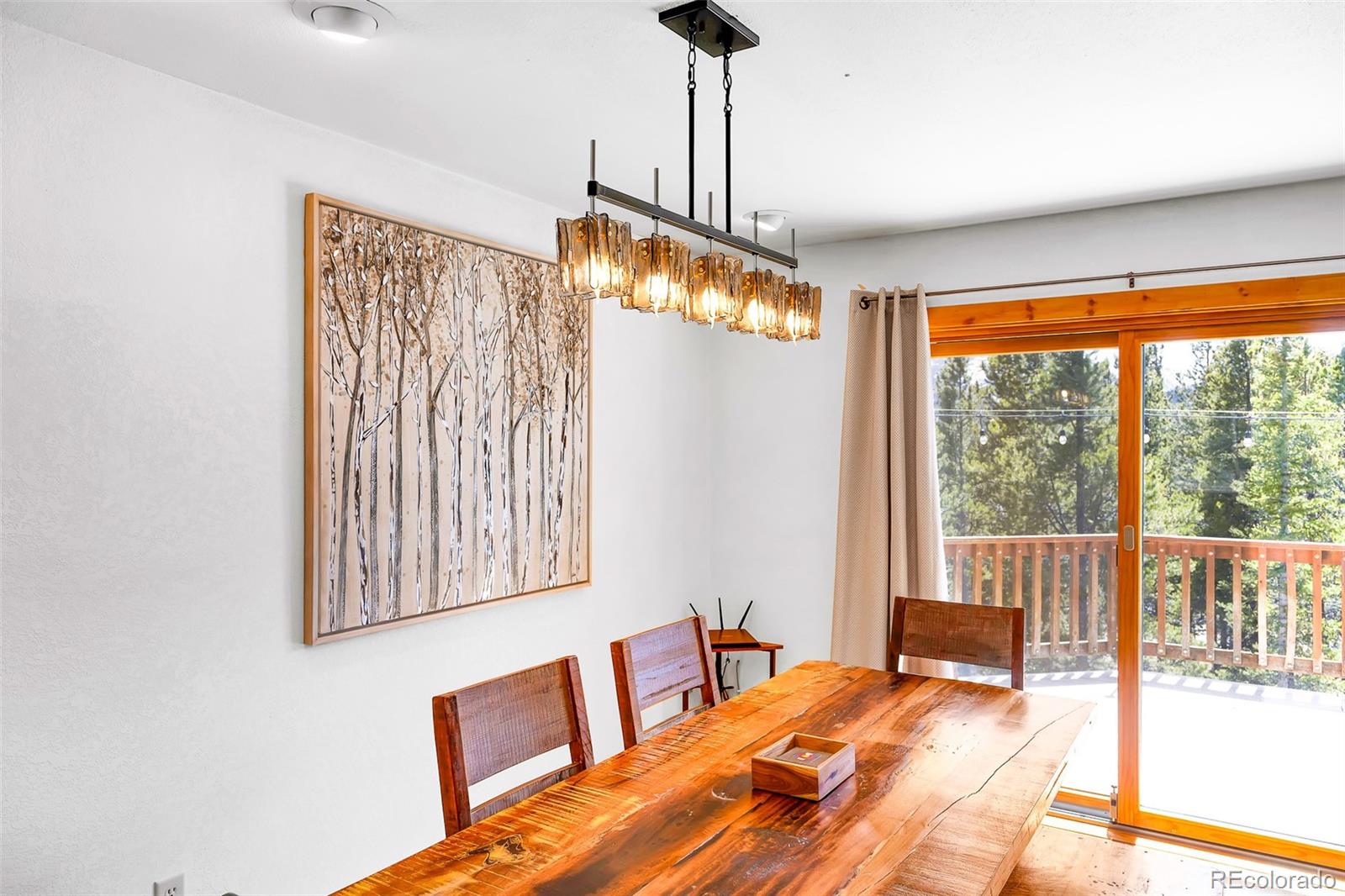 MLS Image #8 for 375  gold trail,fairplay, Colorado