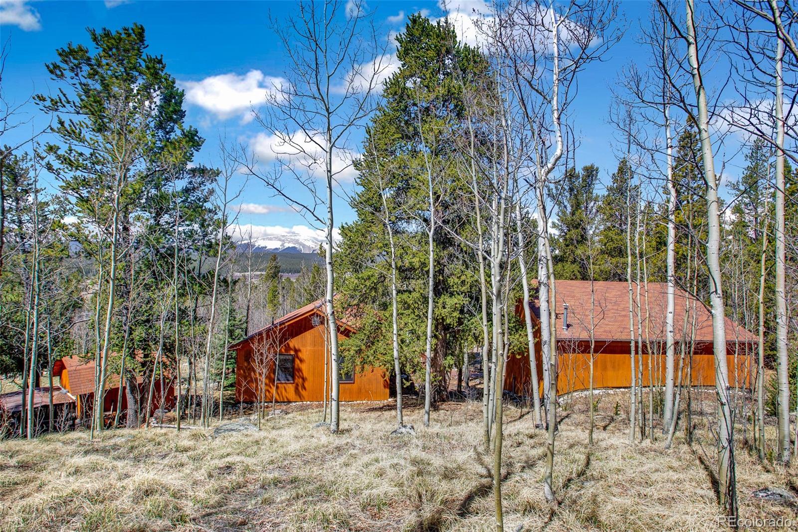 MLS Image #0 for 232  quarry road,fairplay, Colorado