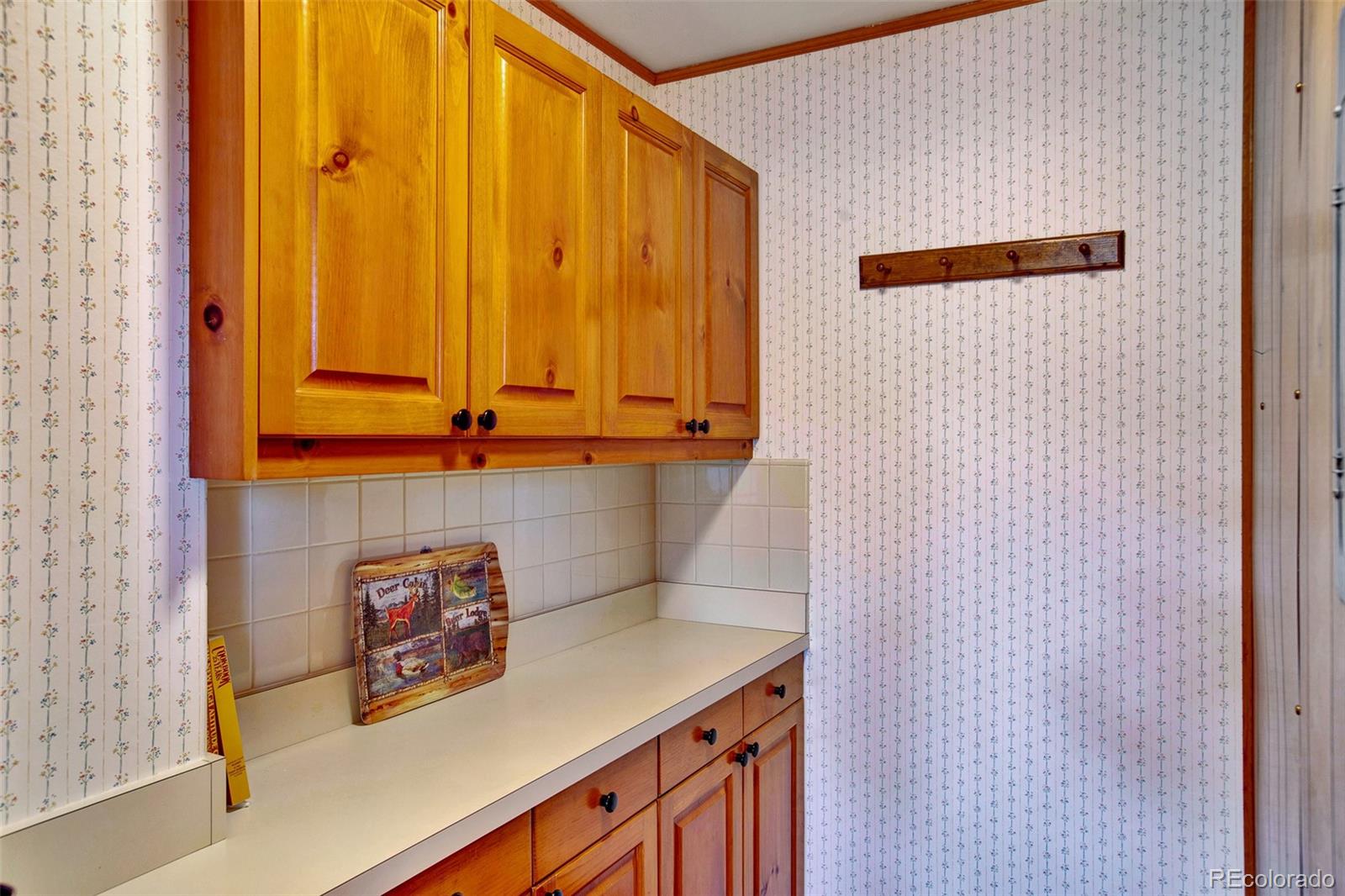 MLS Image #14 for 232  quarry road,fairplay, Colorado