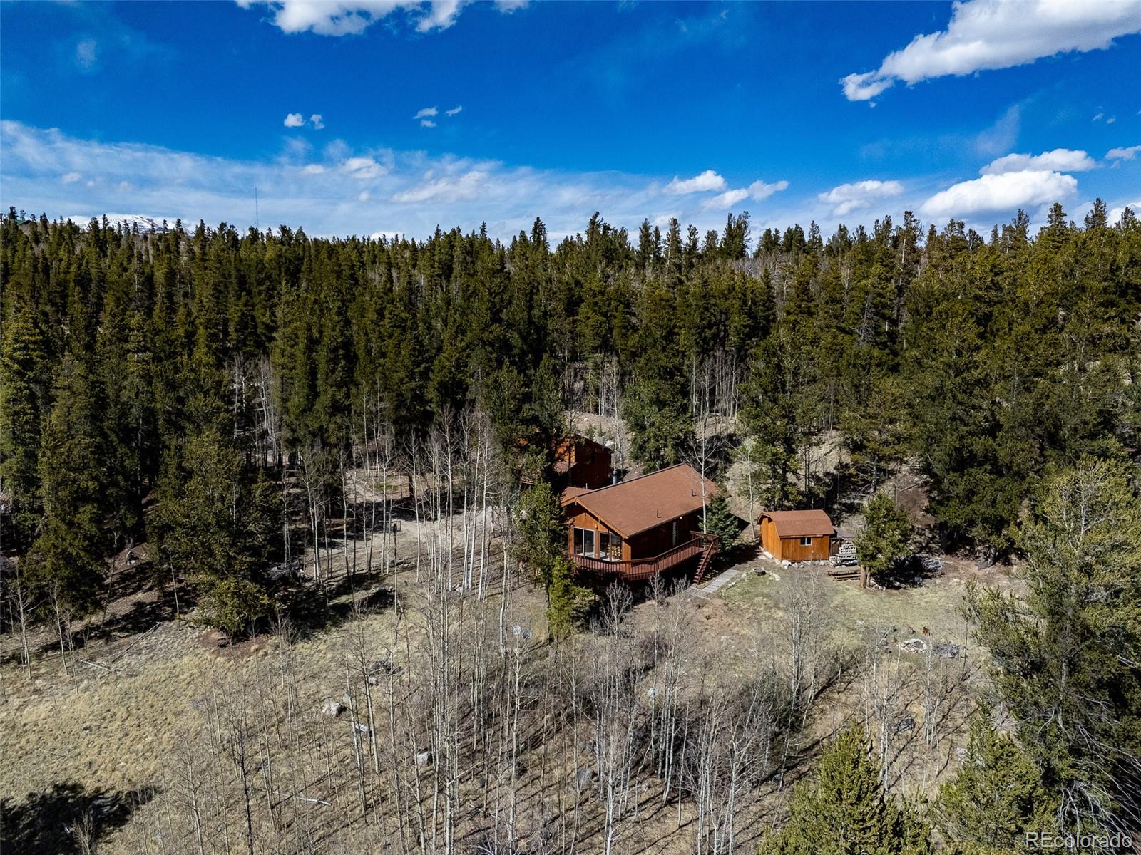 MLS Image #18 for 232  quarry road,fairplay, Colorado