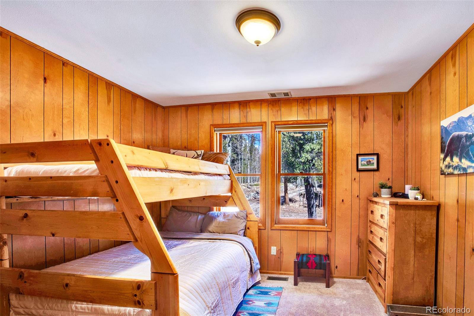 MLS Image #21 for 232  quarry road,fairplay, Colorado