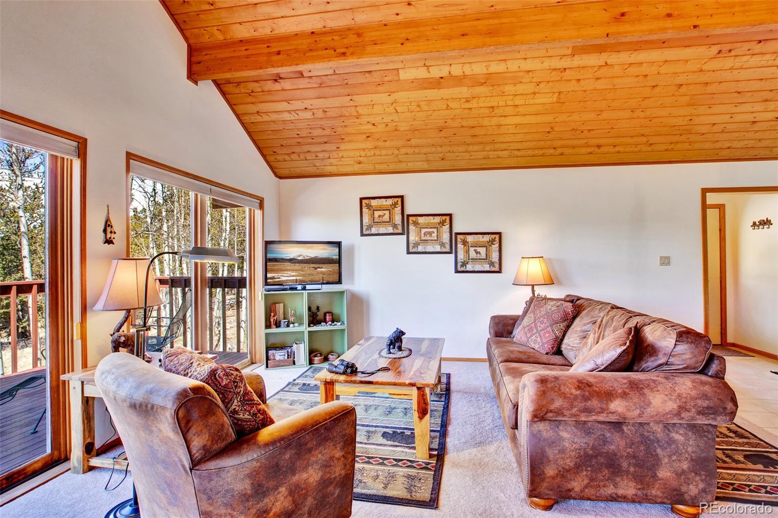 MLS Image #3 for 232  quarry road,fairplay, Colorado