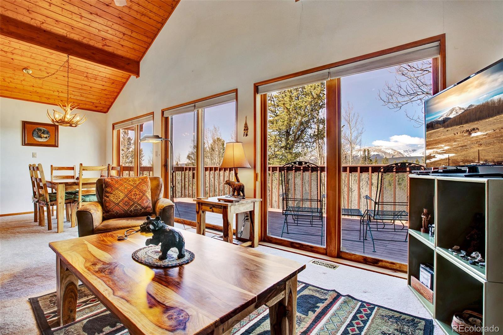 MLS Image #4 for 232  quarry road,fairplay, Colorado