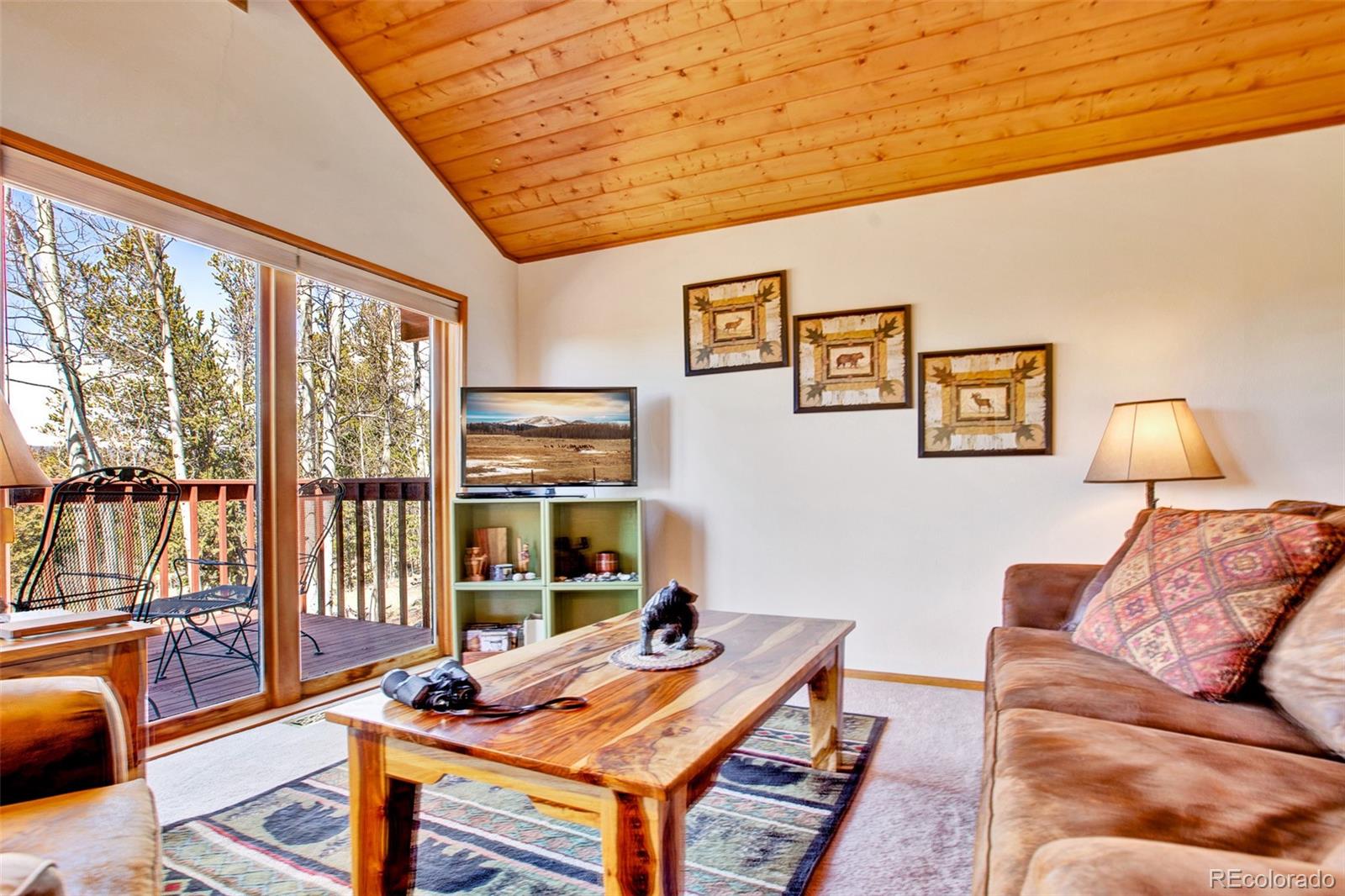 MLS Image #5 for 232  quarry road,fairplay, Colorado