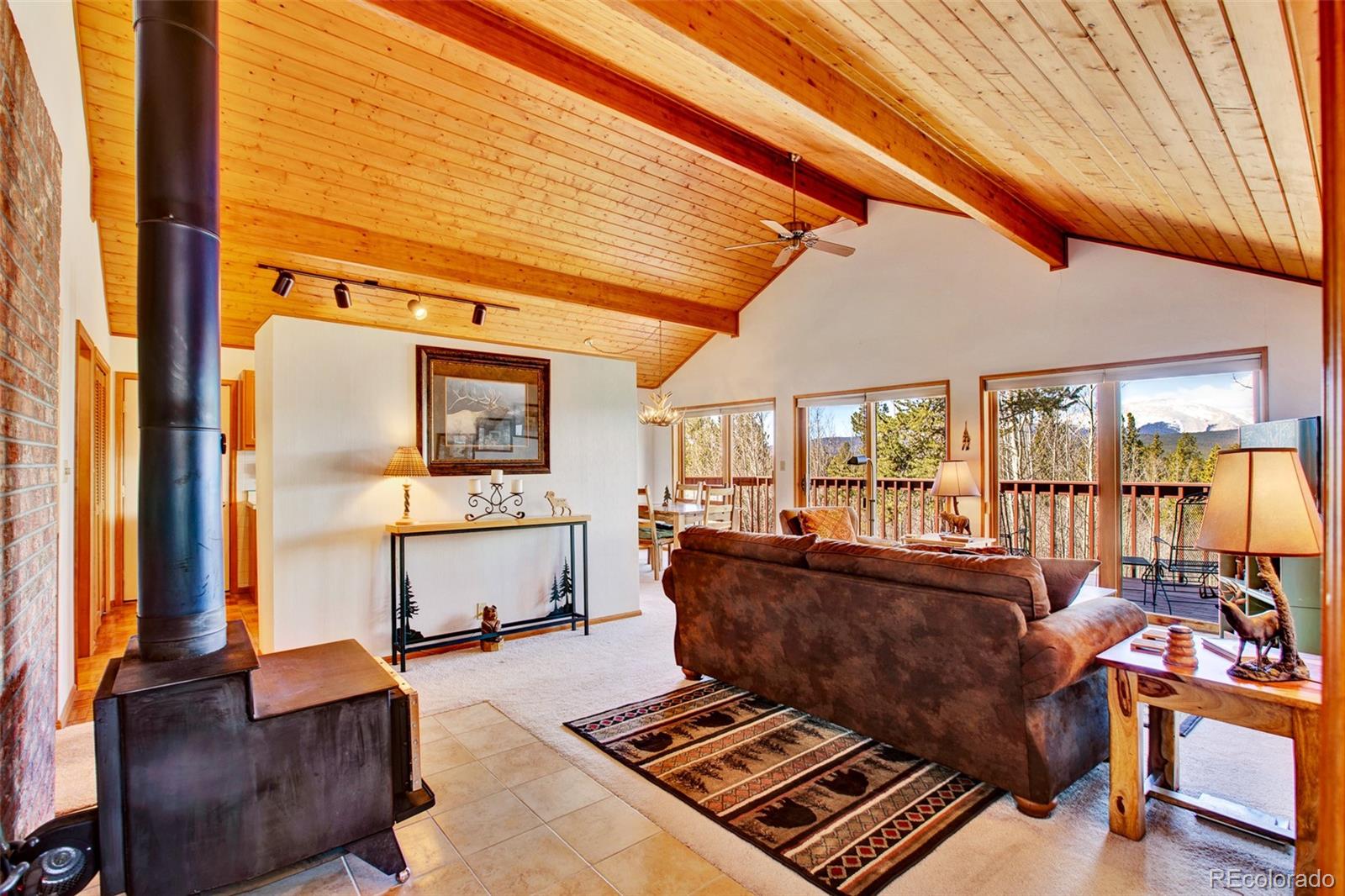 MLS Image #6 for 232  quarry road,fairplay, Colorado