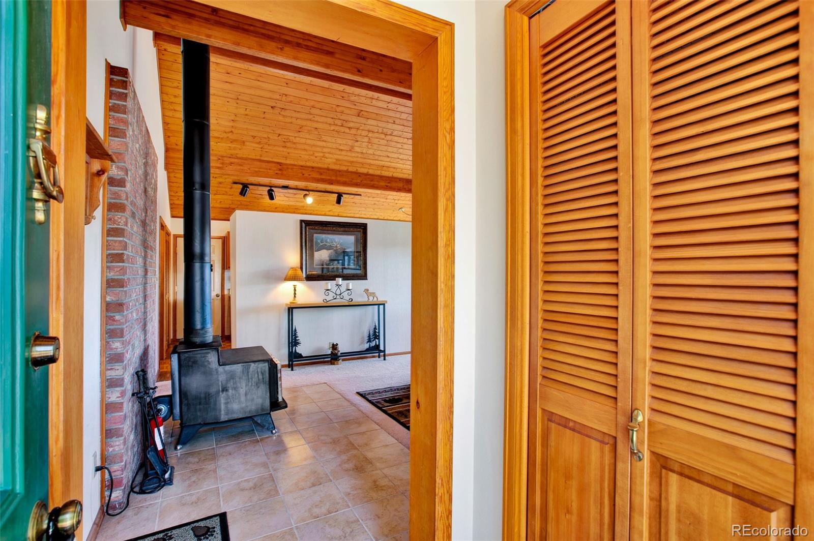 MLS Image #8 for 232  quarry road,fairplay, Colorado
