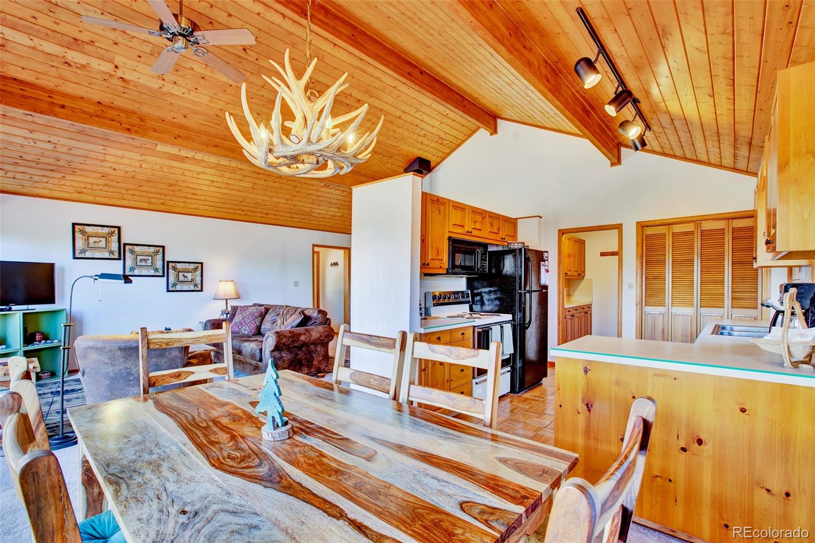 MLS Image #9 for 232  quarry road,fairplay, Colorado