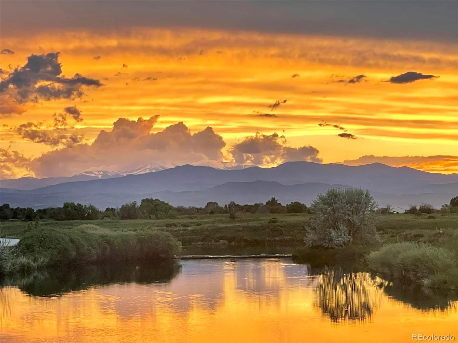 MLS Image #38 for 356  boxwood drive,windsor, Colorado