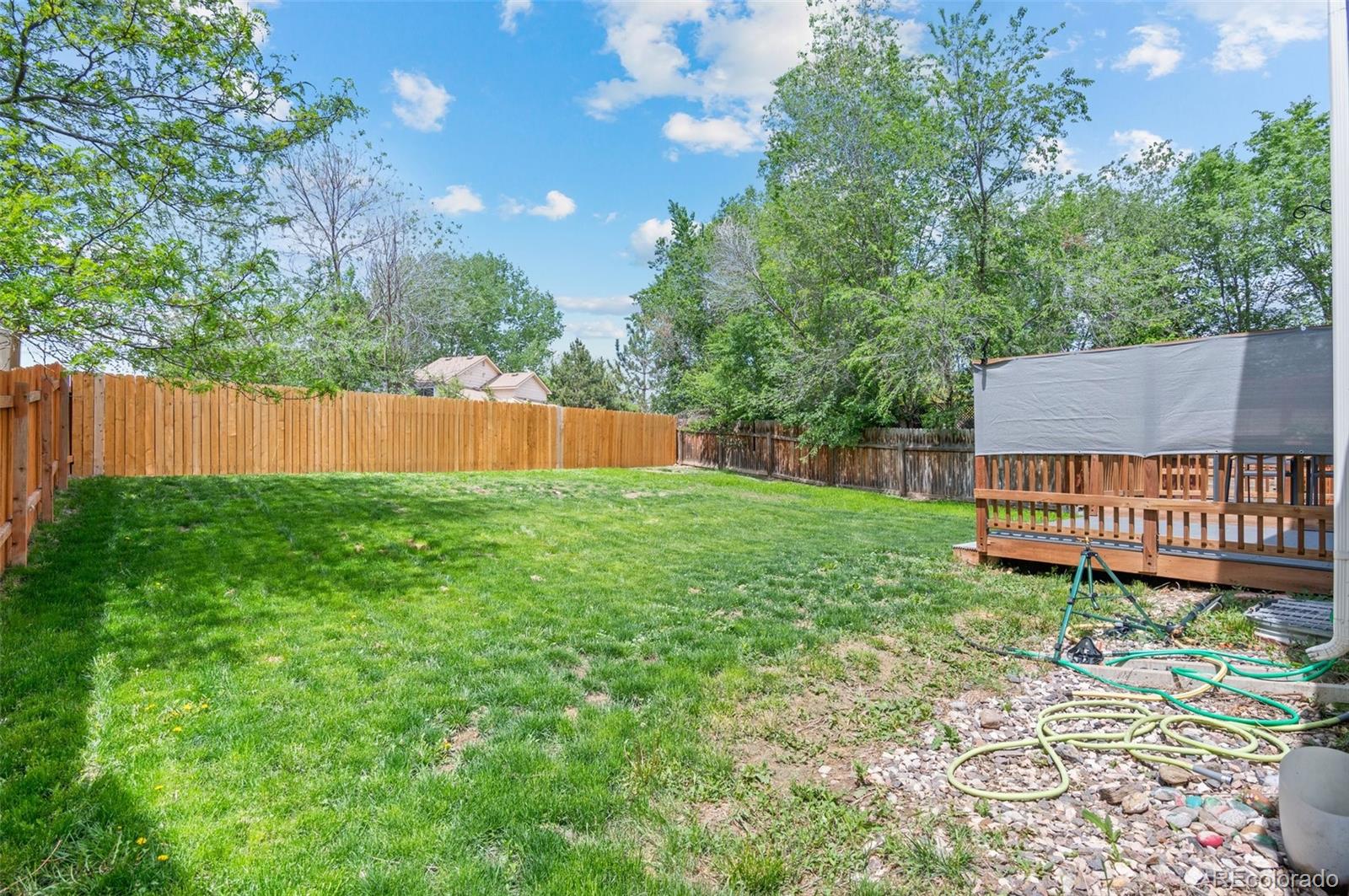 MLS Image #20 for 13245  shoshone street,denver, Colorado