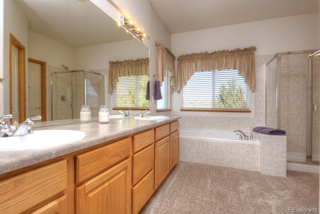 MLS Image #15 for 698  larimer creek drive,monument, Colorado