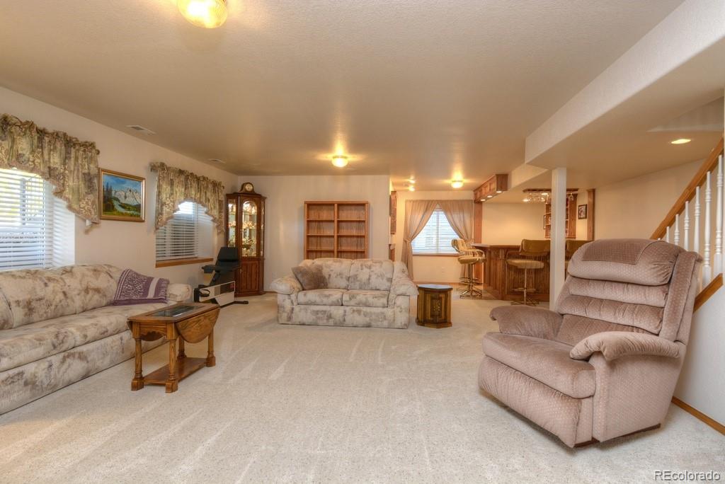 MLS Image #17 for 698  larimer creek drive,monument, Colorado