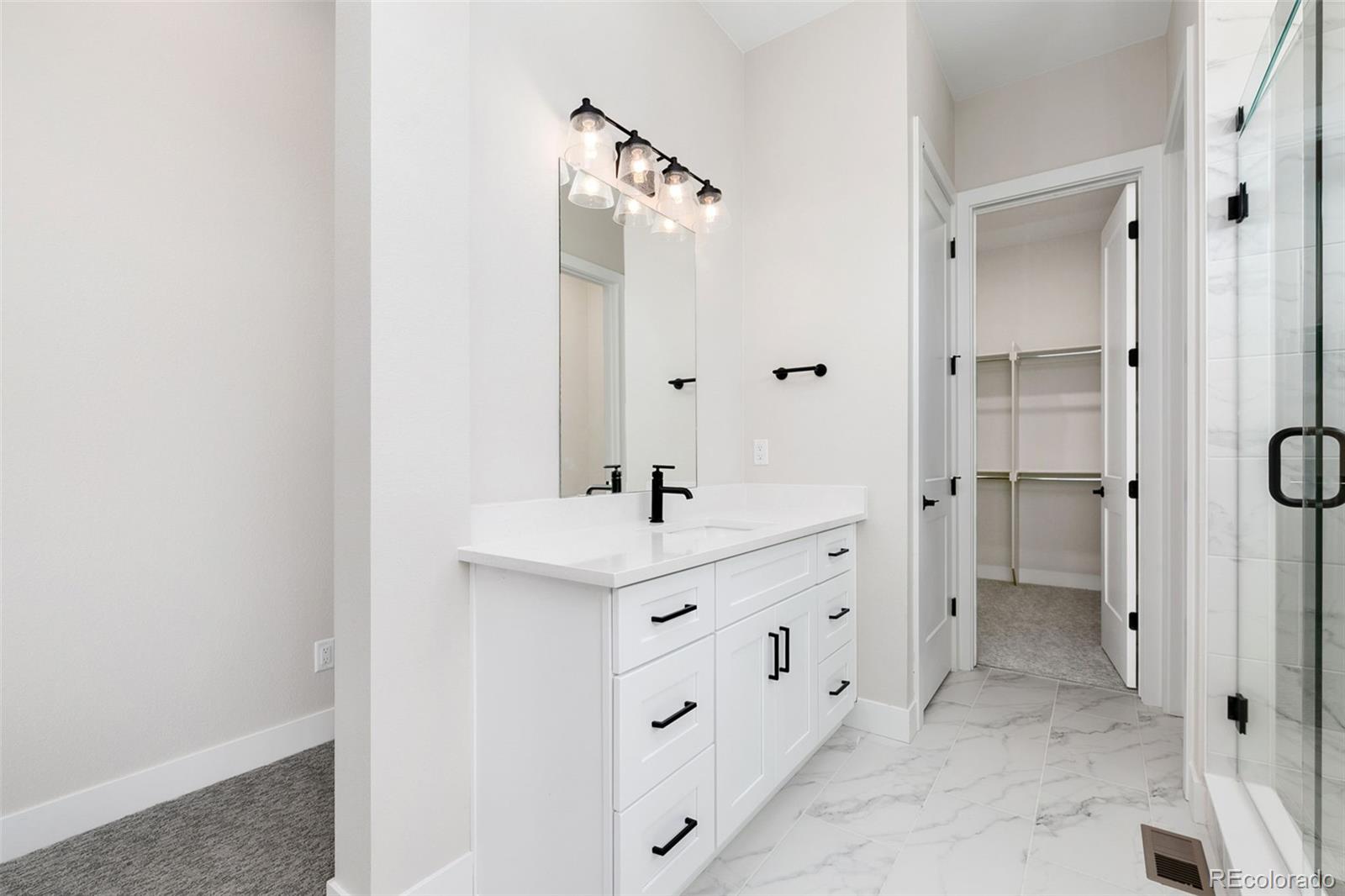 MLS Image #10 for 5835  gianna drive,timnath, Colorado