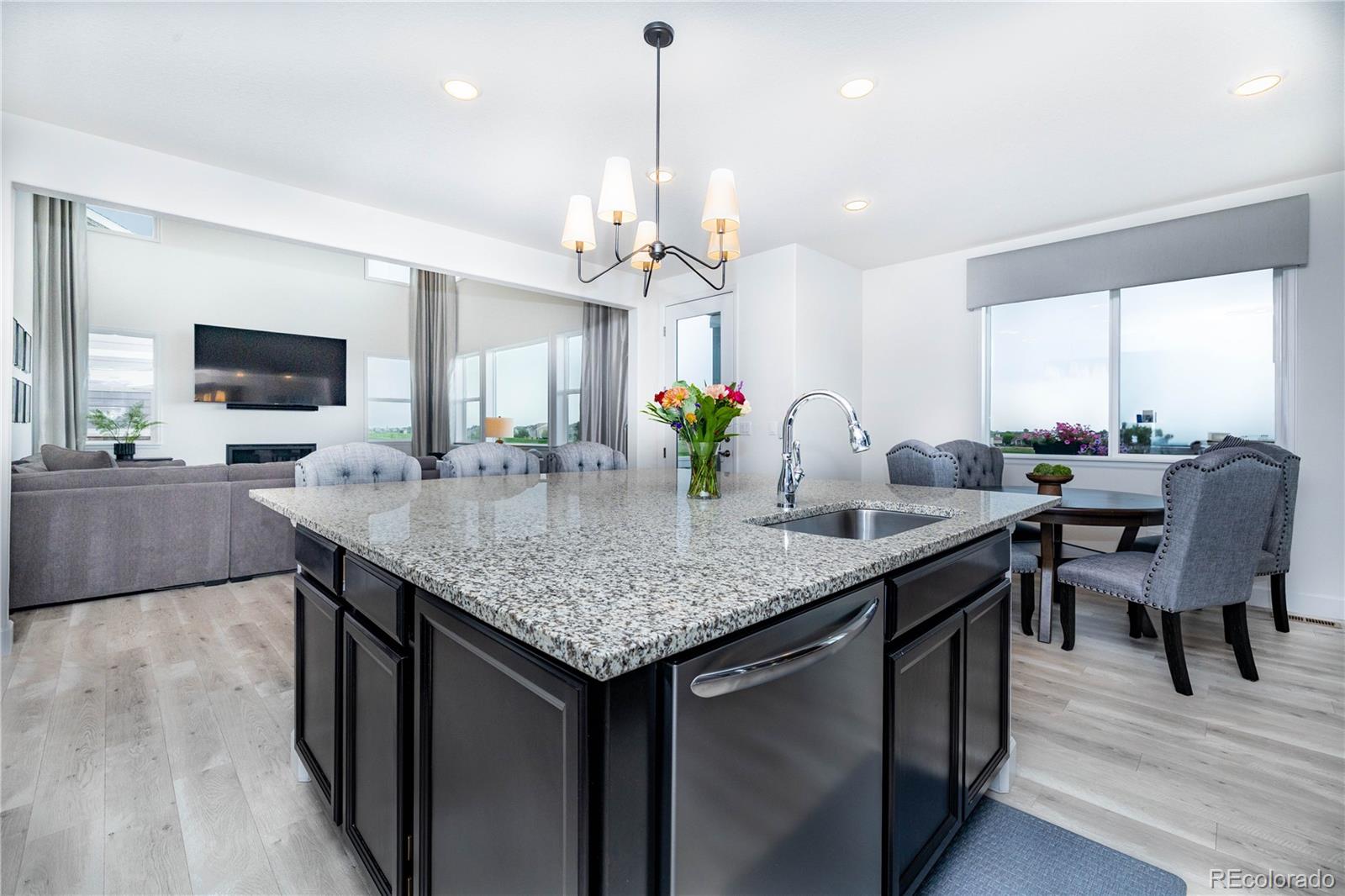MLS Image #6 for 16701  buffalo run drive,commerce city, Colorado