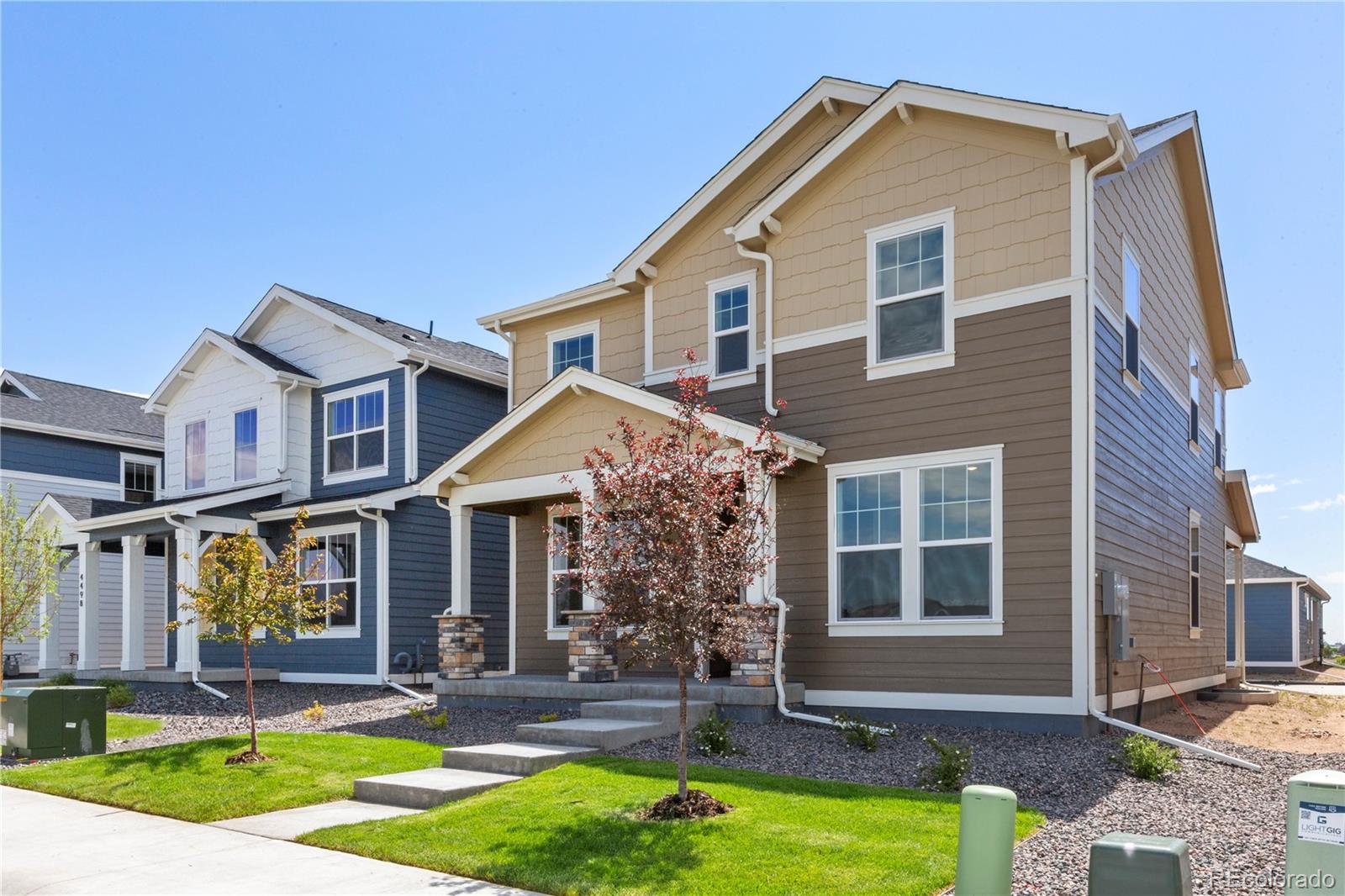 MLS Image #1 for 4504  burl street,timnath, Colorado
