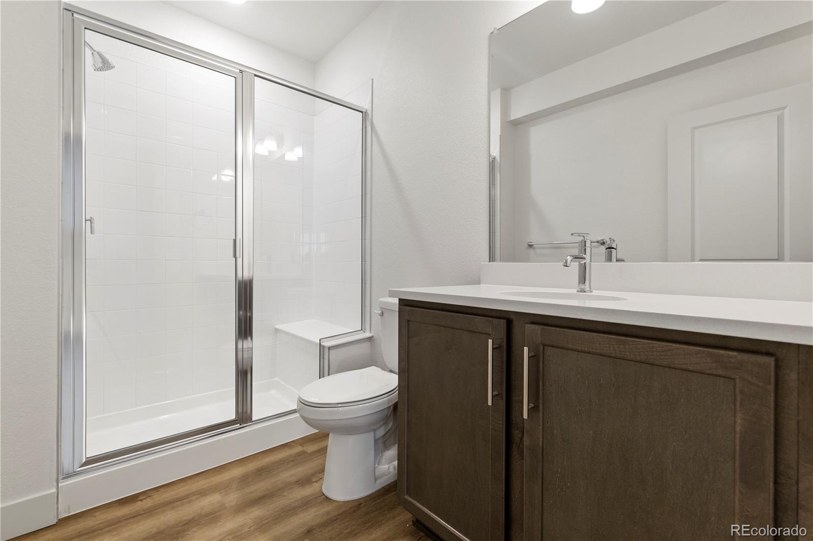 MLS Image #16 for 4504  burl street,timnath, Colorado