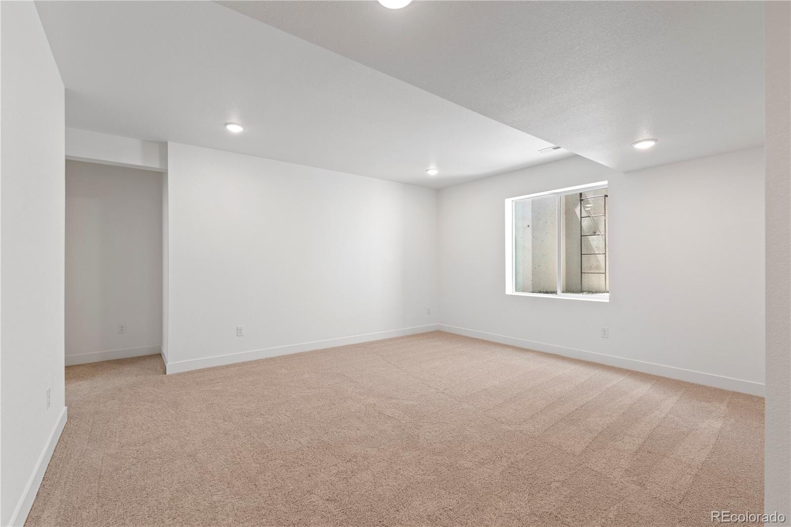 MLS Image #19 for 4504  burl street,timnath, Colorado