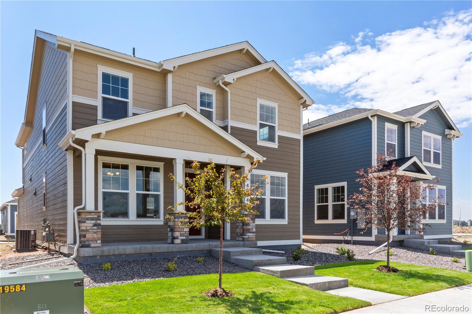 MLS Image #2 for 4504  burl street,timnath, Colorado