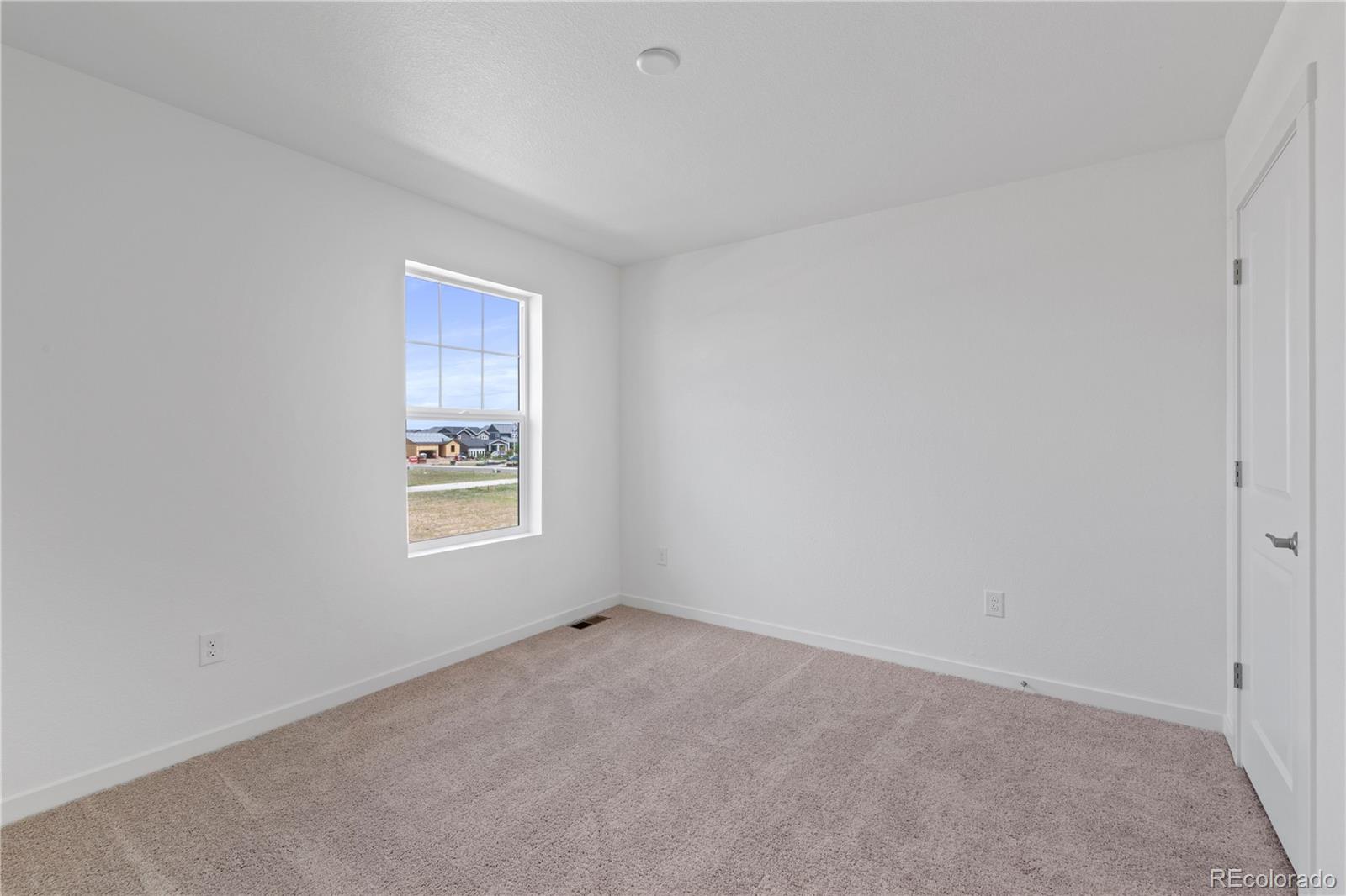 MLS Image #20 for 4504  burl street,timnath, Colorado