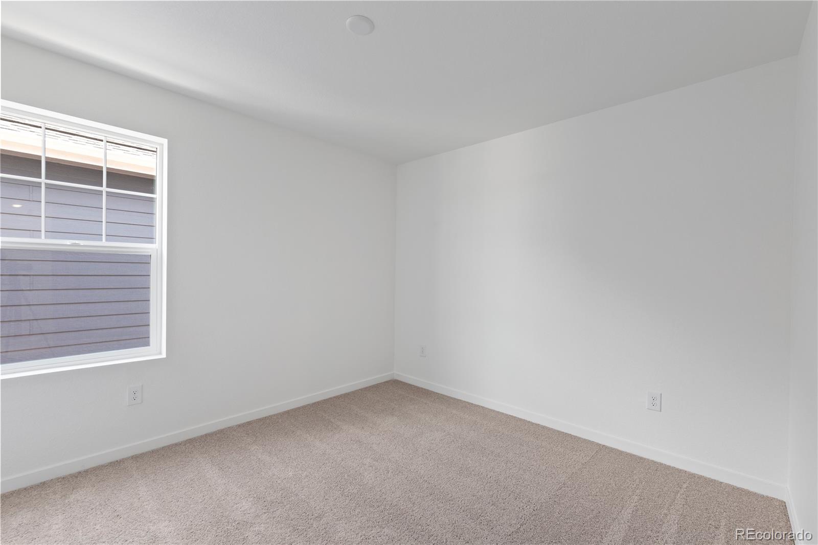MLS Image #22 for 4504  burl street,timnath, Colorado