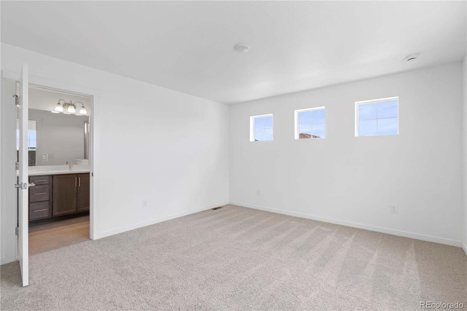 MLS Image #26 for 4504  burl street,timnath, Colorado
