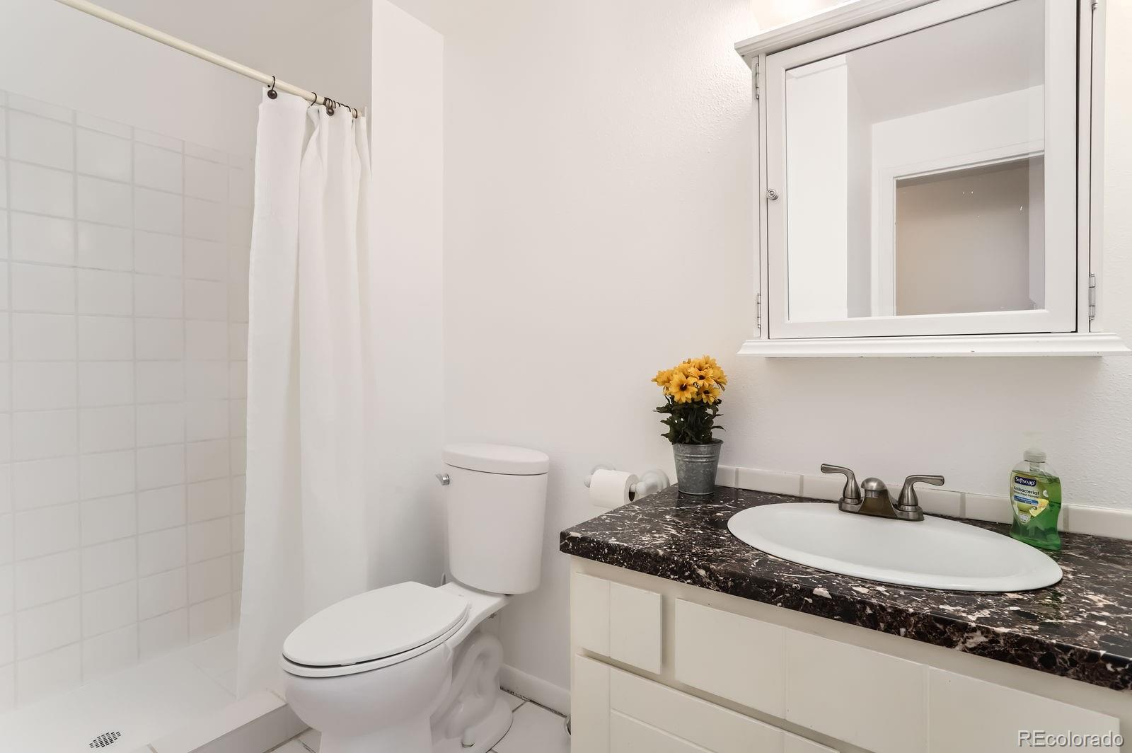 MLS Image #11 for 2310  squires court,longmont, Colorado