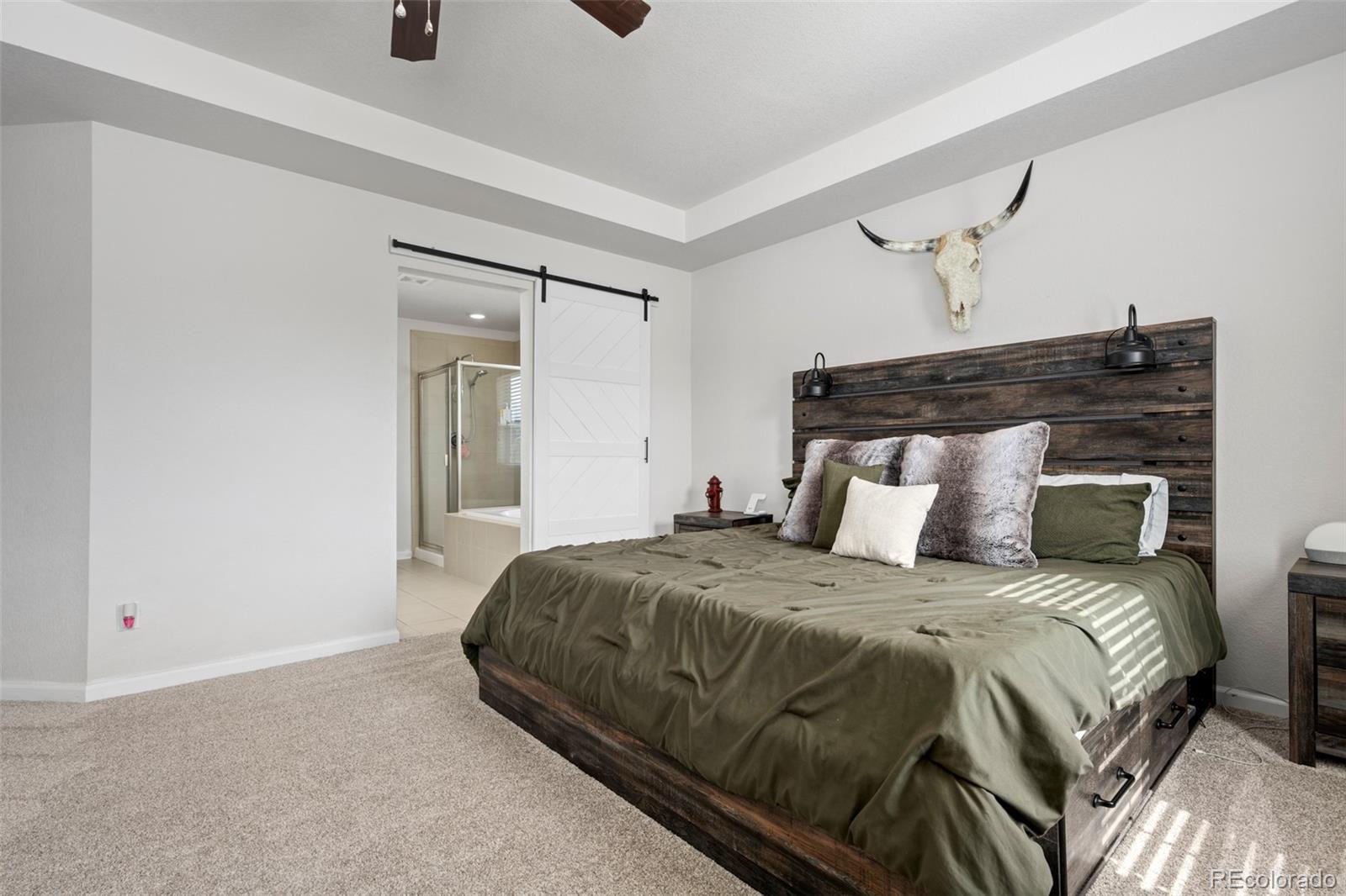 MLS Image #21 for 7315  blue water drive,castle rock, Colorado