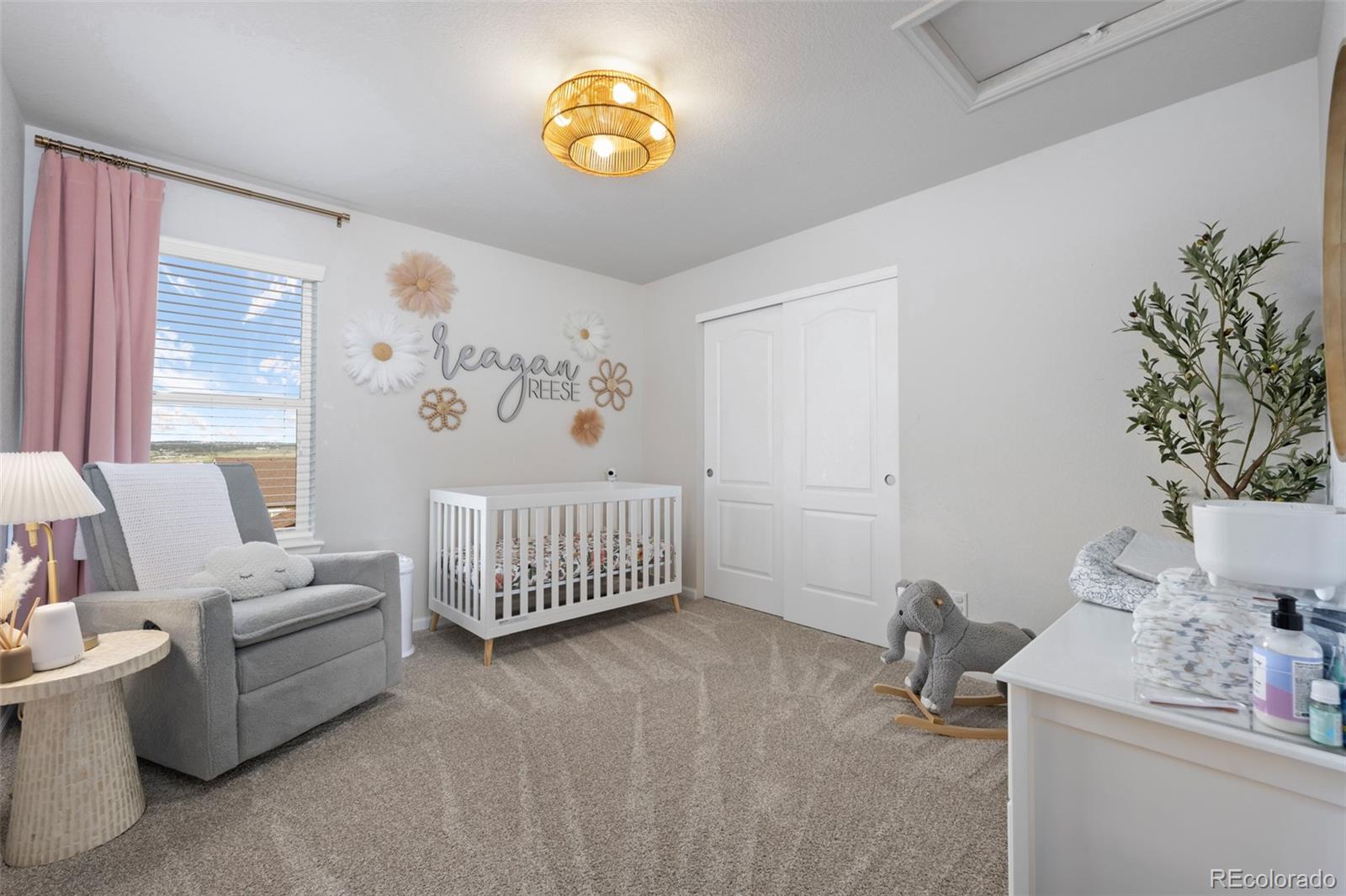 MLS Image #27 for 7315  blue water drive,castle rock, Colorado