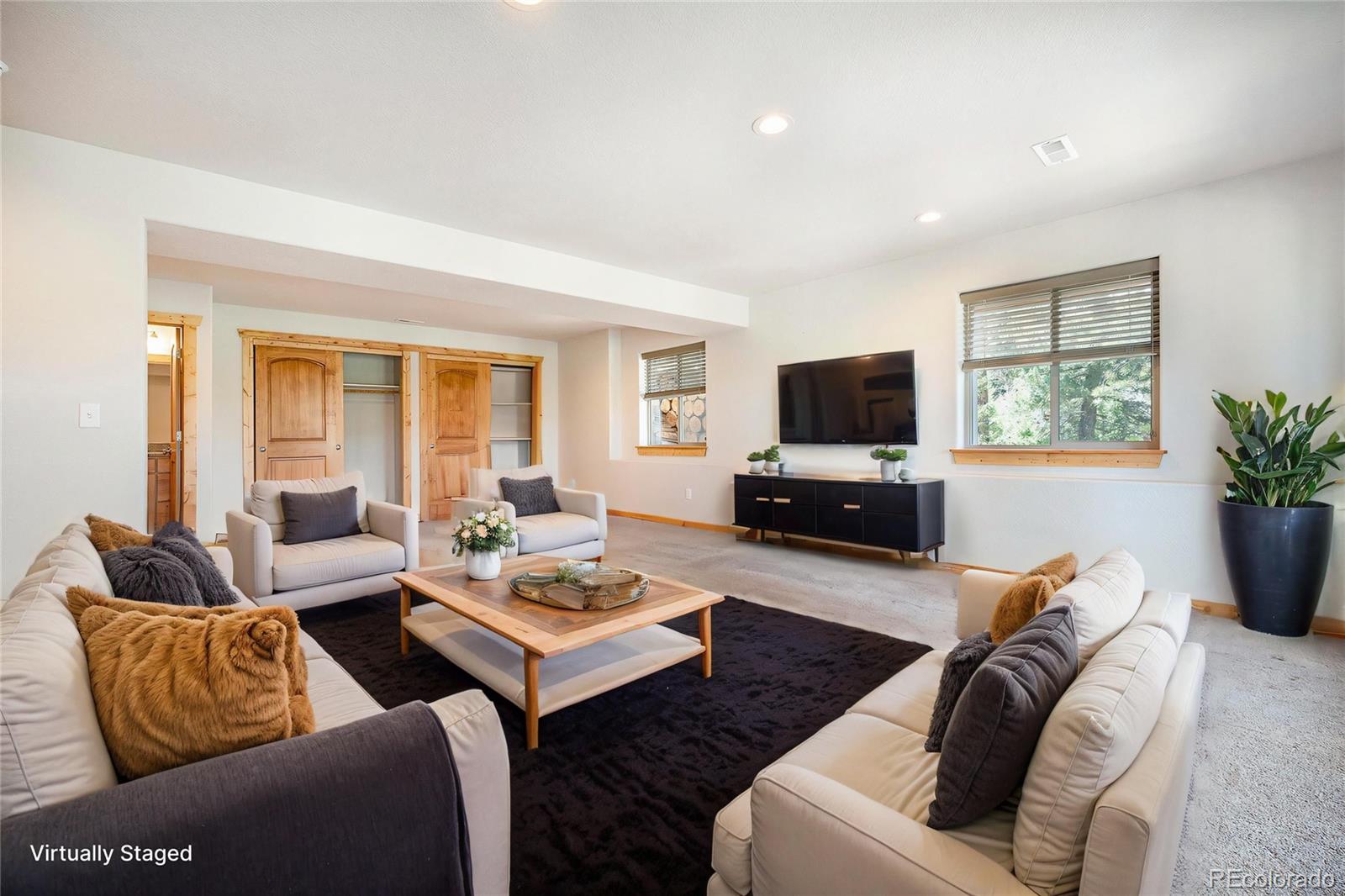 MLS Image #18 for 665  impala trail,bailey, Colorado