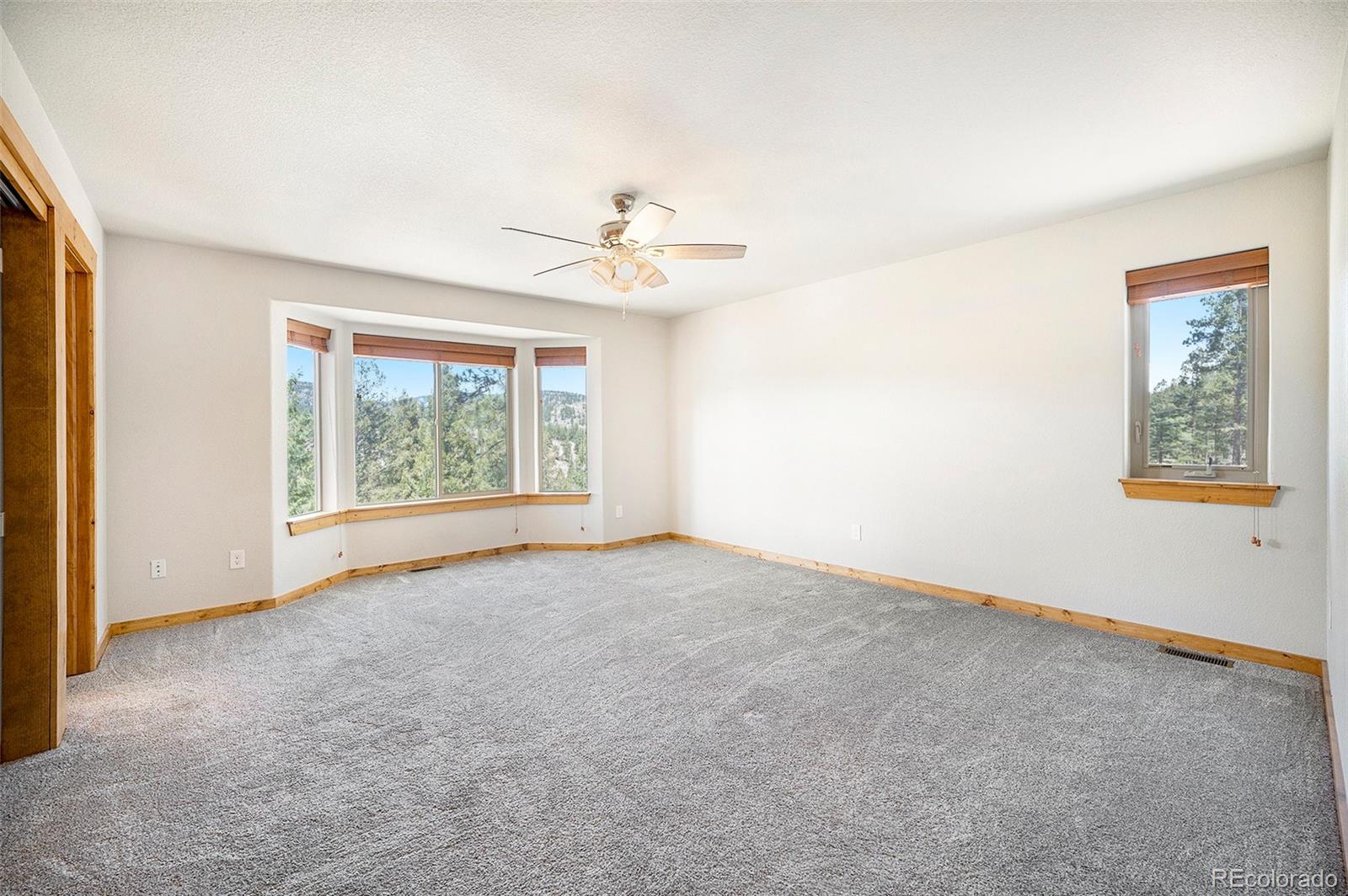 MLS Image #33 for 665  impala trail,bailey, Colorado