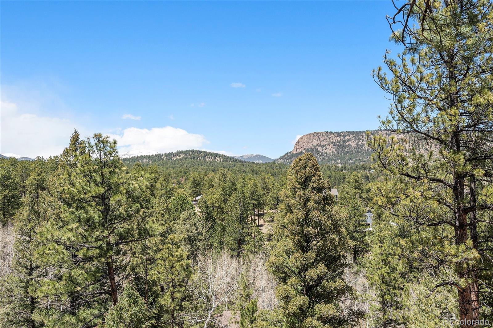 MLS Image #9 for 665  impala trail,bailey, Colorado