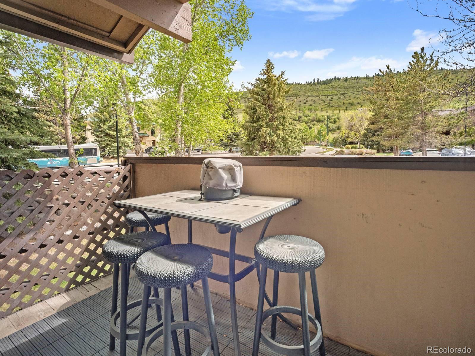MLS Image #20 for 1061 w beaver creek boulevard,avon, Colorado