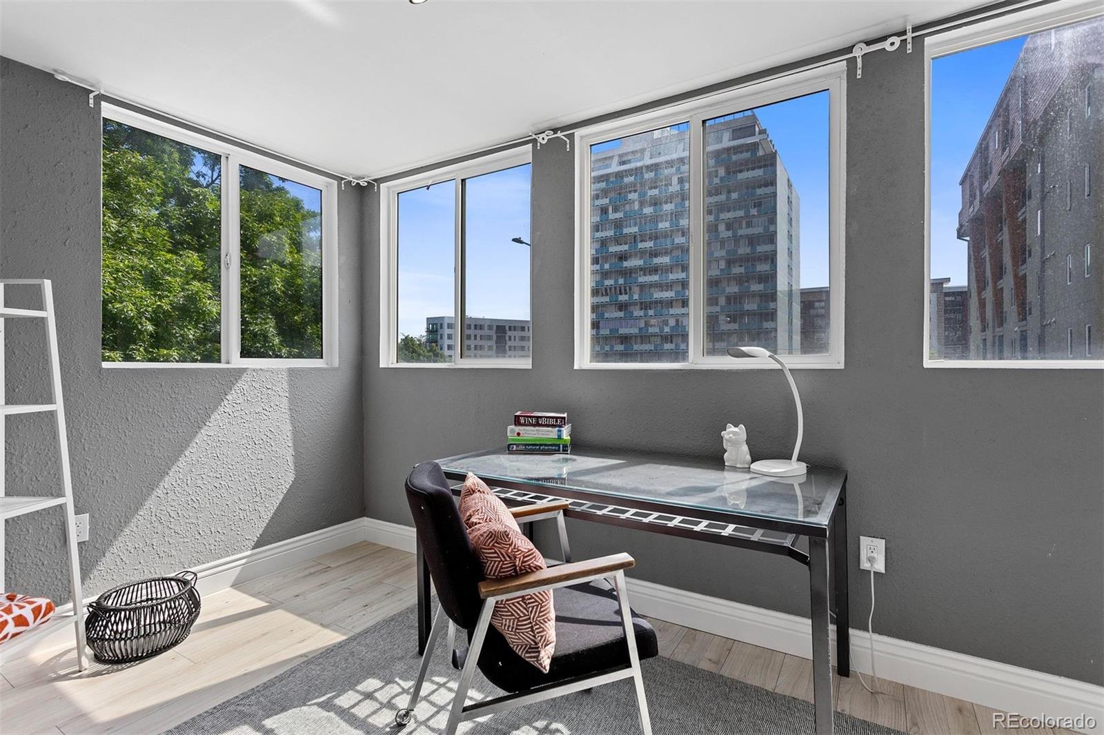 MLS Image #20 for 1121  albion street,denver, Colorado