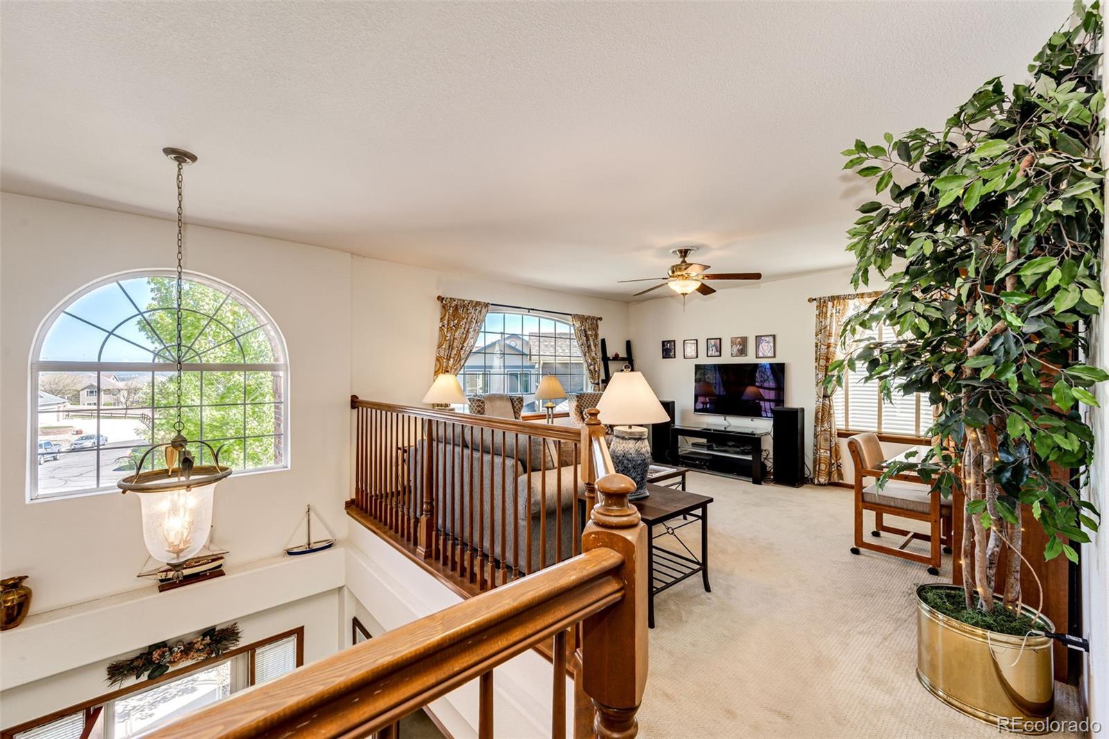 MLS Image #19 for 1820  sapling court,castle rock, Colorado
