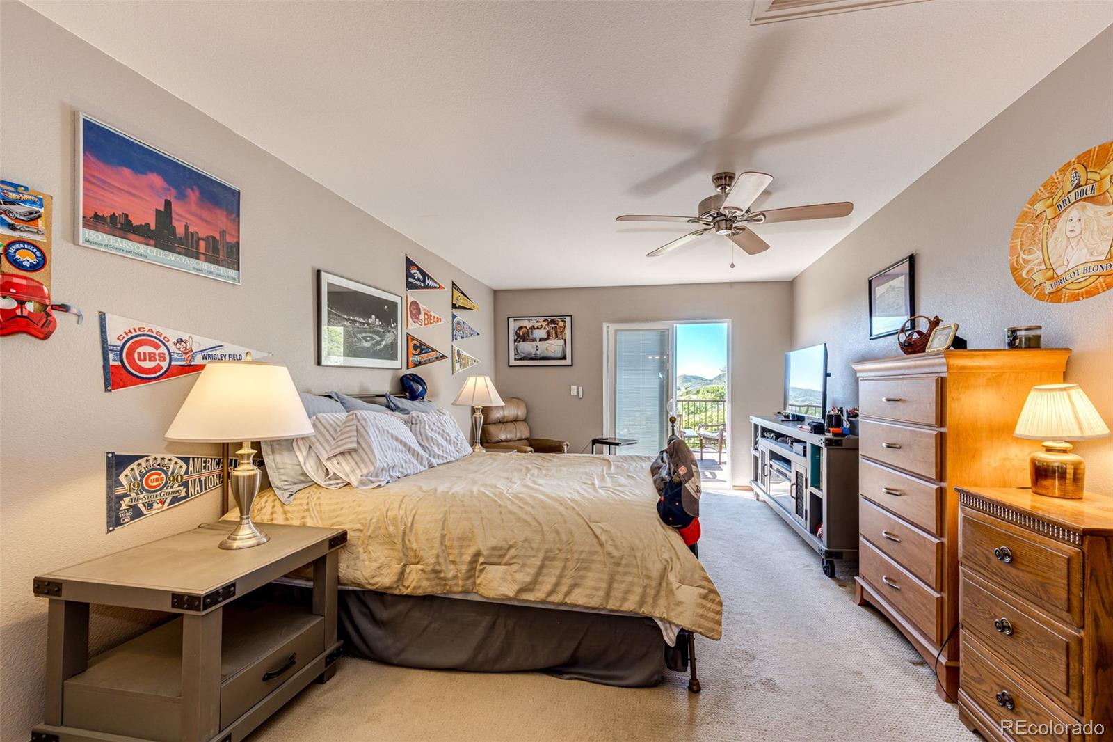 MLS Image #22 for 1820  sapling court,castle rock, Colorado