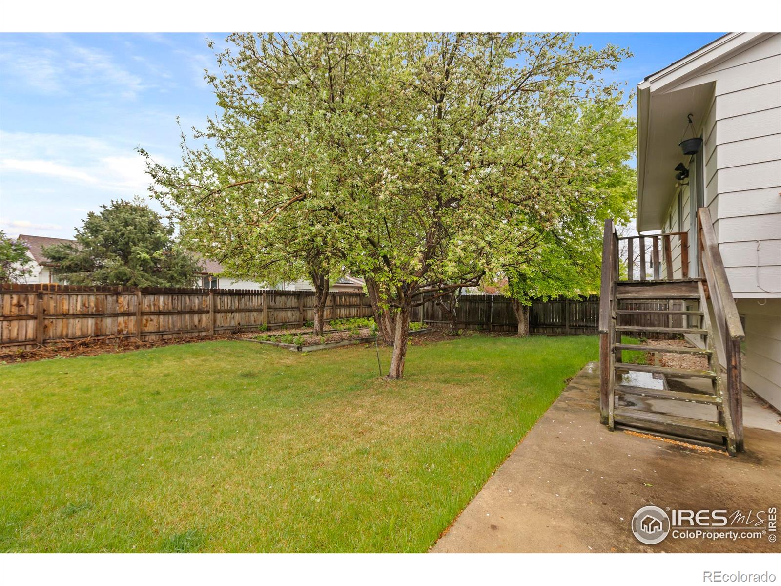 MLS Image #22 for 418  guillemont street,fort collins, Colorado
