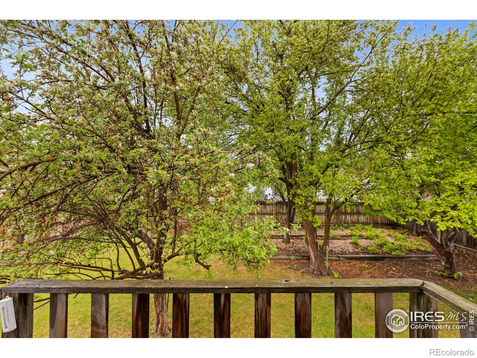 MLS Image #23 for 418  guillemont street,fort collins, Colorado