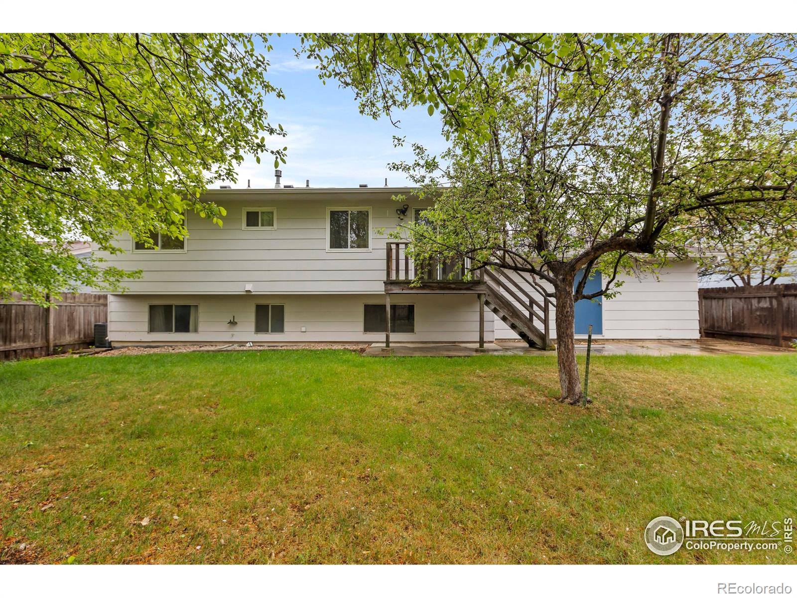 MLS Image #24 for 418  guillemont street,fort collins, Colorado