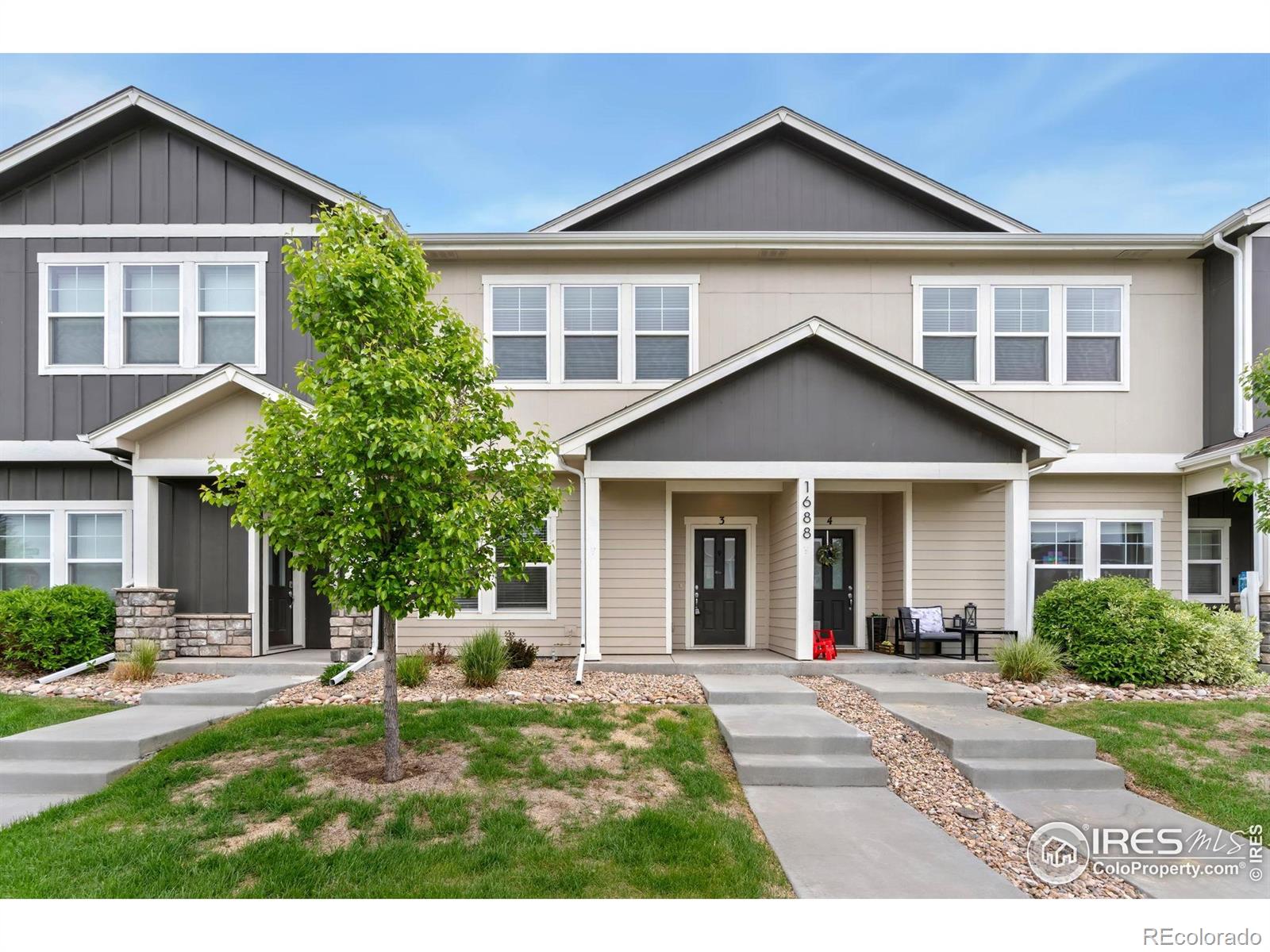 MLS Image #0 for 1688  grand avenue,windsor, Colorado