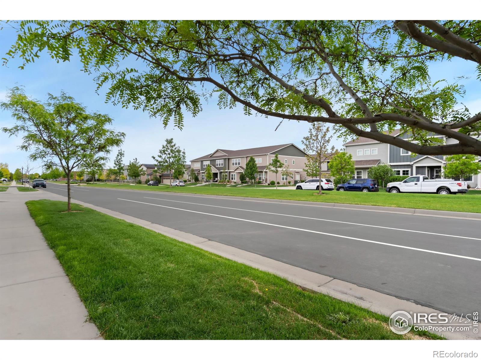 MLS Image #30 for 1688  grand avenue,windsor, Colorado