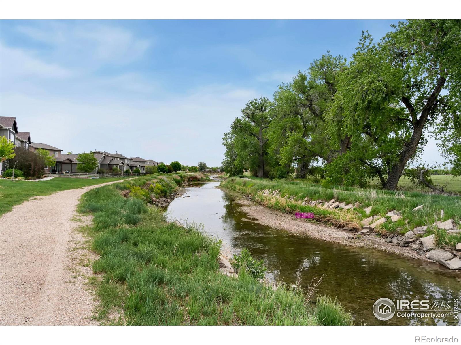 MLS Image #35 for 1688  grand avenue,windsor, Colorado