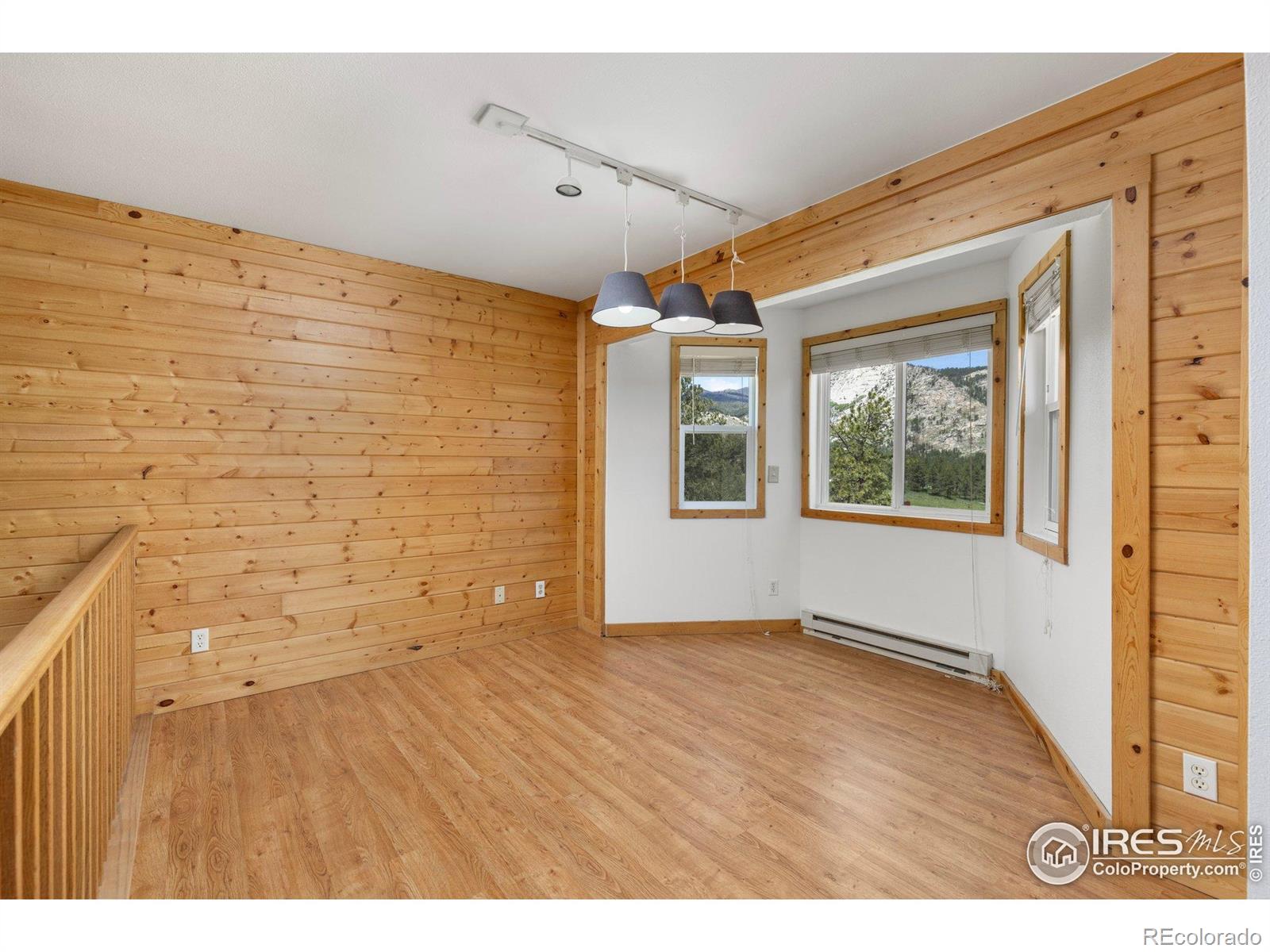 MLS Image #11 for 1001  snow top drive,drake, Colorado