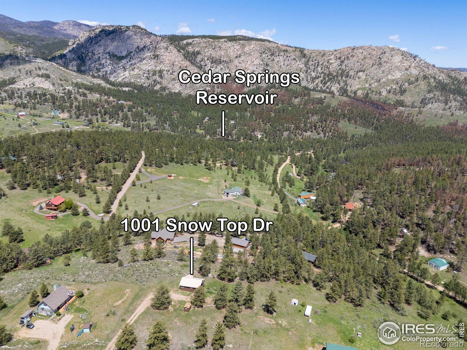MLS Image #27 for 1001  snow top drive,drake, Colorado