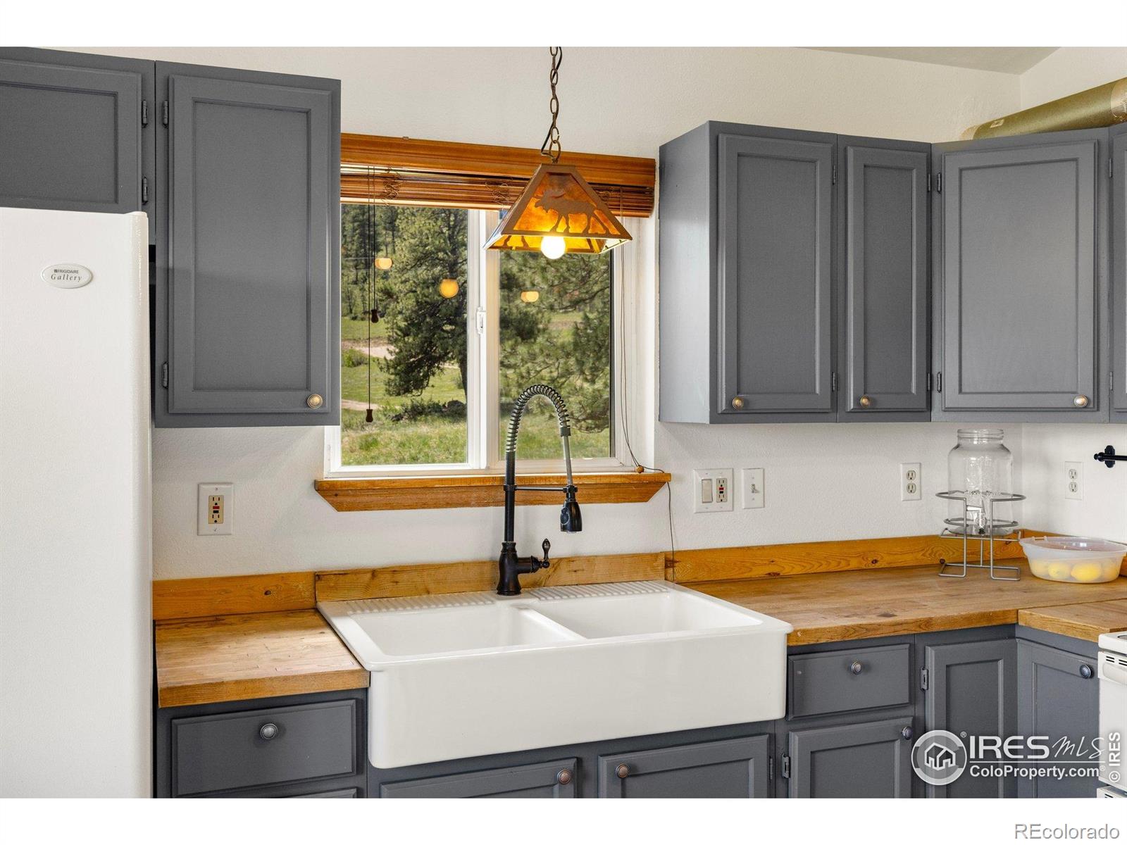MLS Image #9 for 1001  snow top drive,drake, Colorado