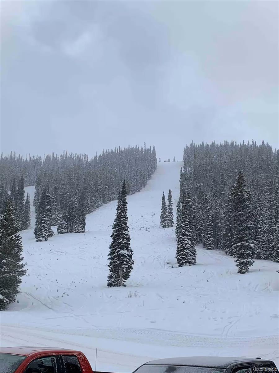 MLS Image #19 for 411  hi country drive,winter park, Colorado