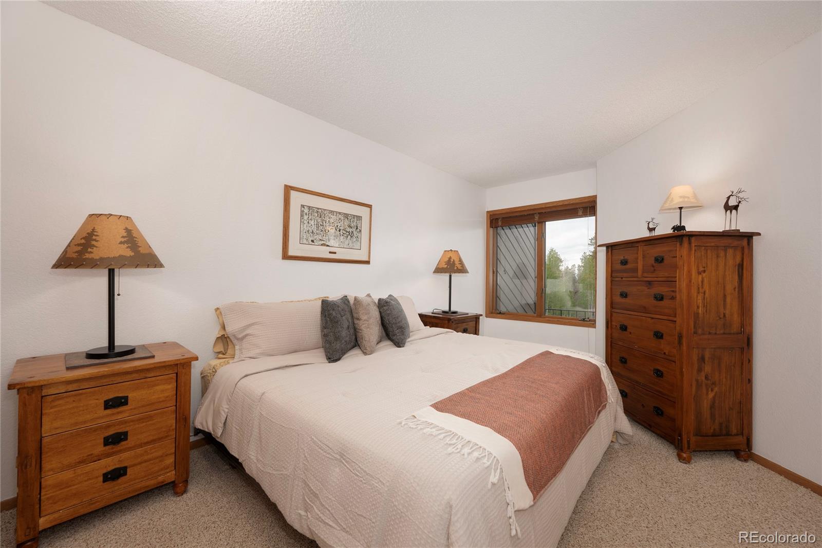 MLS Image #14 for 905  gcr 834 a-6 ,fraser, Colorado